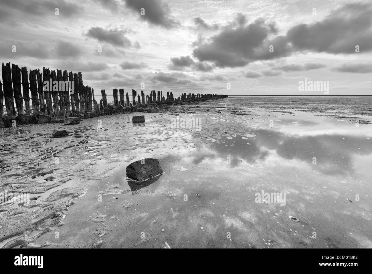 Image en noir et blanc de paysage des plaines de boue d'un ciel partiellement obscurci, qui se reflète dans une une mer plate, avec de vieux poteaux en bois patiné. Banque D'Images