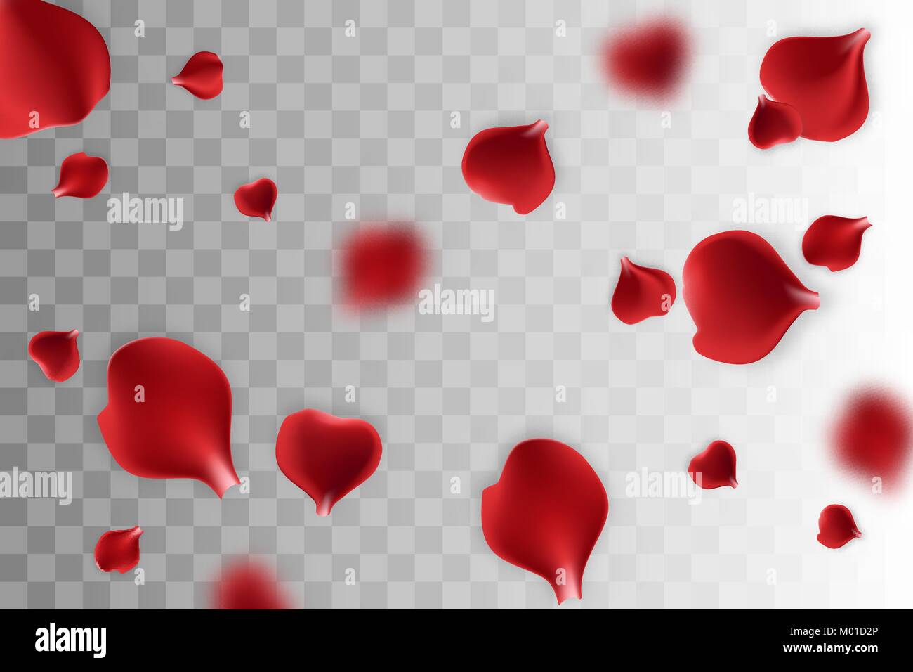 Pétale de Rose rouge fond transparent Illustration de Vecteur