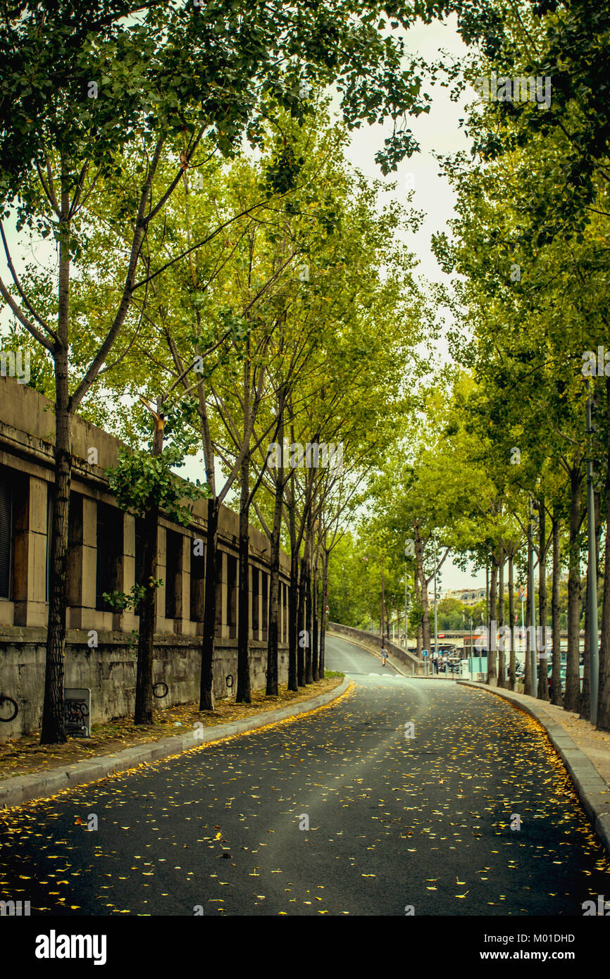 Vue de petite route on city street avec vert des arbres en automne Banque D'Images