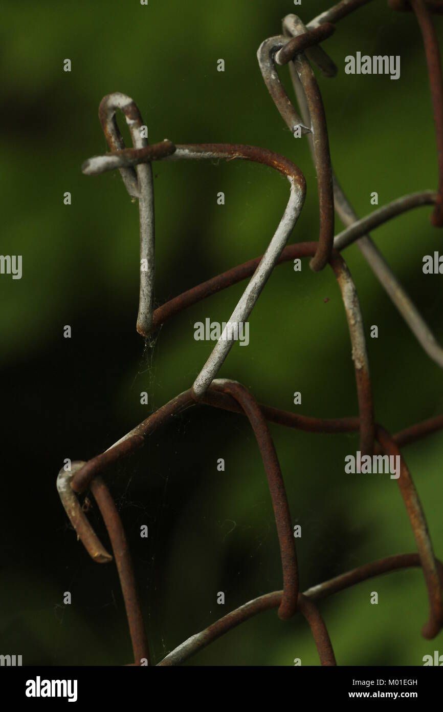 Petit segment de clôture à mailles de chaîne rouillée avec un fond vert Banque D'Images