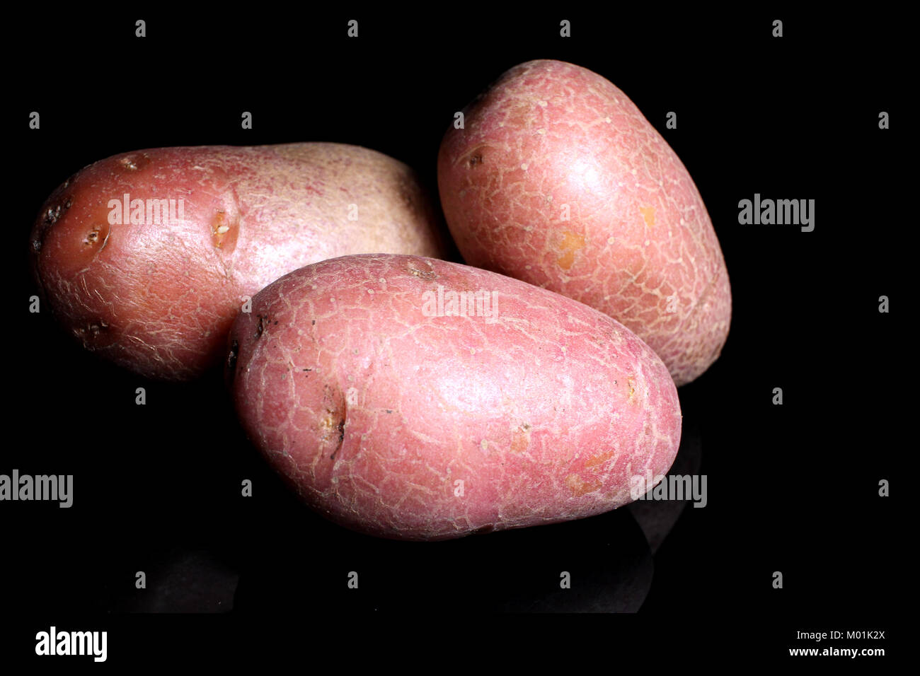La Grosse Pomme De Terre Banque d