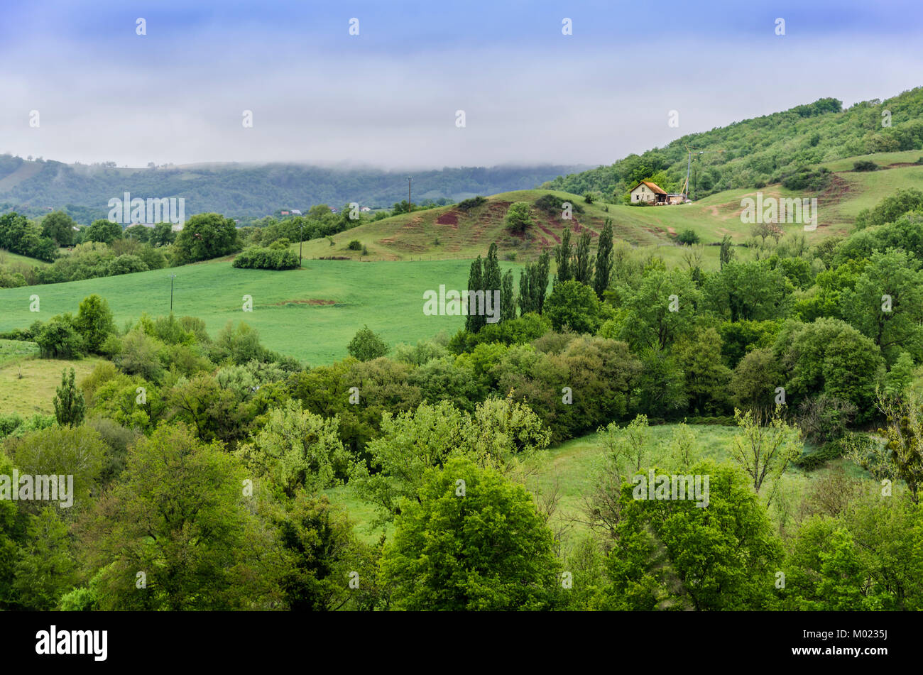 Vue panoramique sur les verts de la campagne française dans la région de l'Occitanie, près de la ville de Conques Banque D'Images