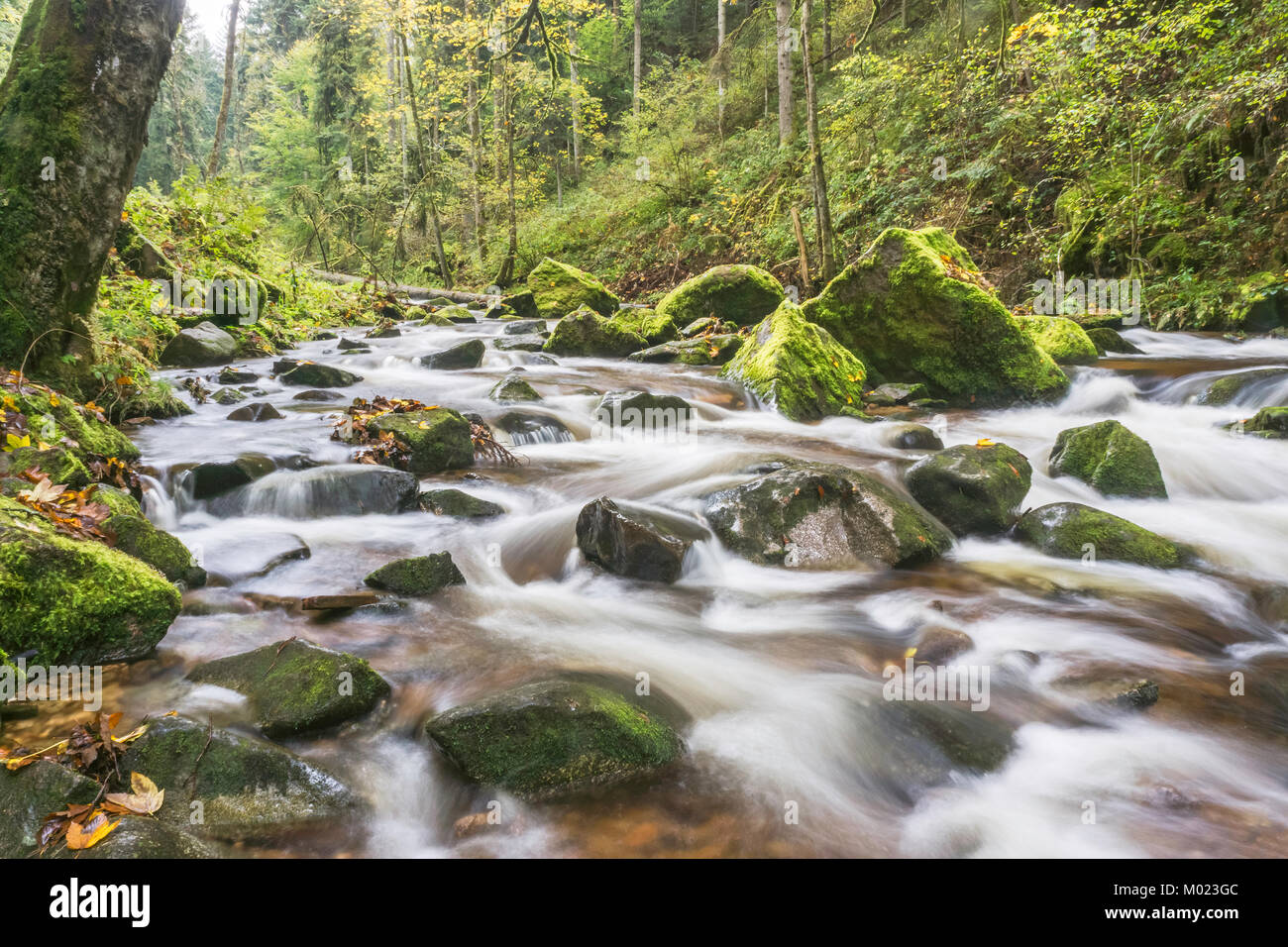 Le flux de la rivière avec des roches moussues Bouchot dans les Vosges, près de Vagney, France. Une longue exposition shot.. Banque D'Images