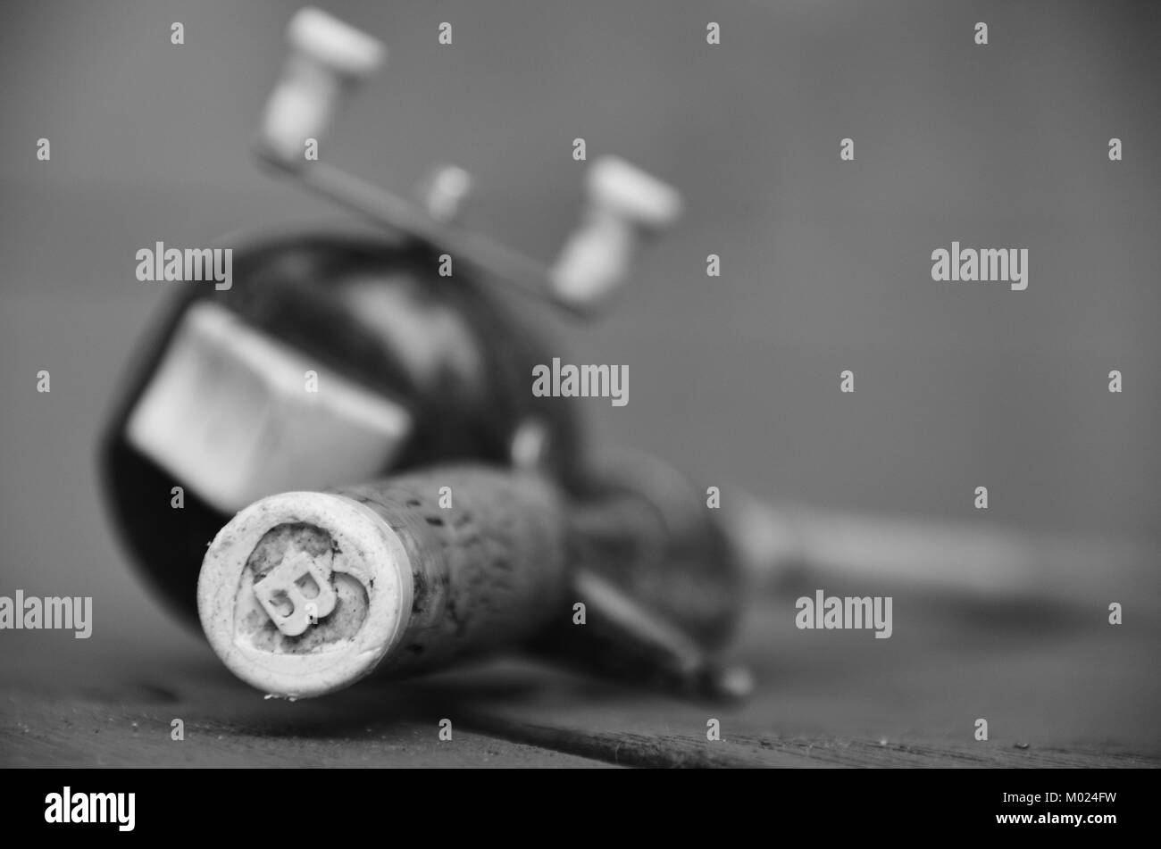 Bobine de pêche vintage en noir et blanc Banque D'Images