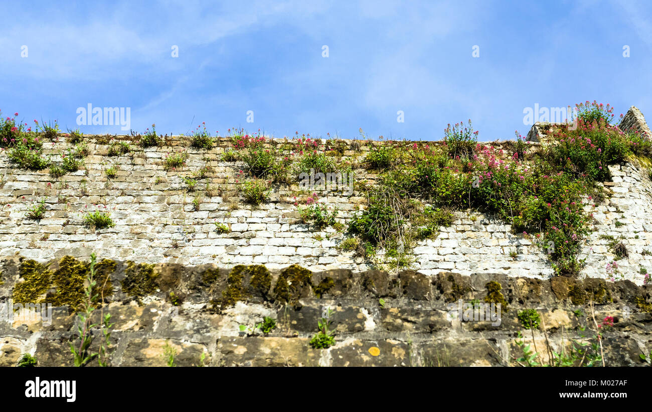 Voyage en France - ancien mur de ville fortifiée dans la vieille ville de Boulogne-sur-Mer dans matin d'été Banque D'Images