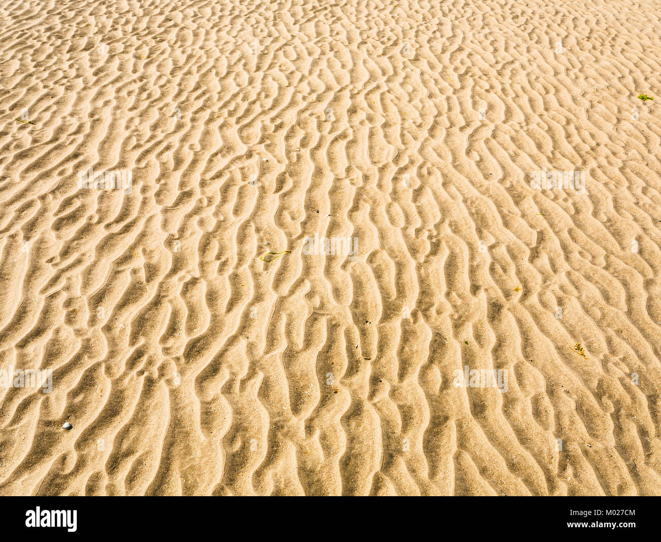 Le touquet paris plage Banque de photographies et d'images à haute  résolution - Page 2 - Alamy