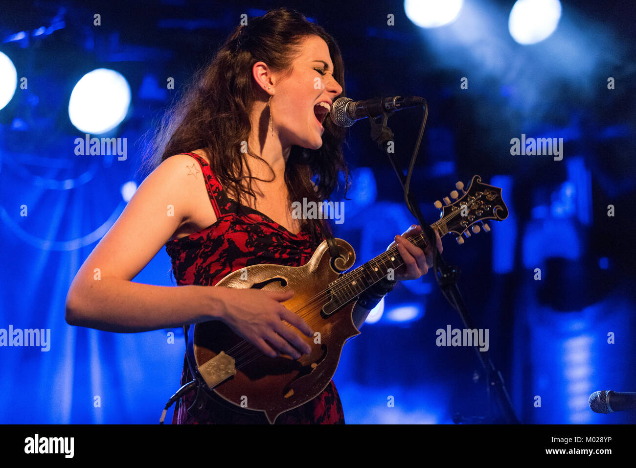 L'American roots rock band Larkin Poe est emmené par les deux sœurs Lovell, Rebecca (en photo) et Megan, qui où effectuer un concert live à John Dee dans Oslo. La Norvège, 24/04 2013. Banque D'Images