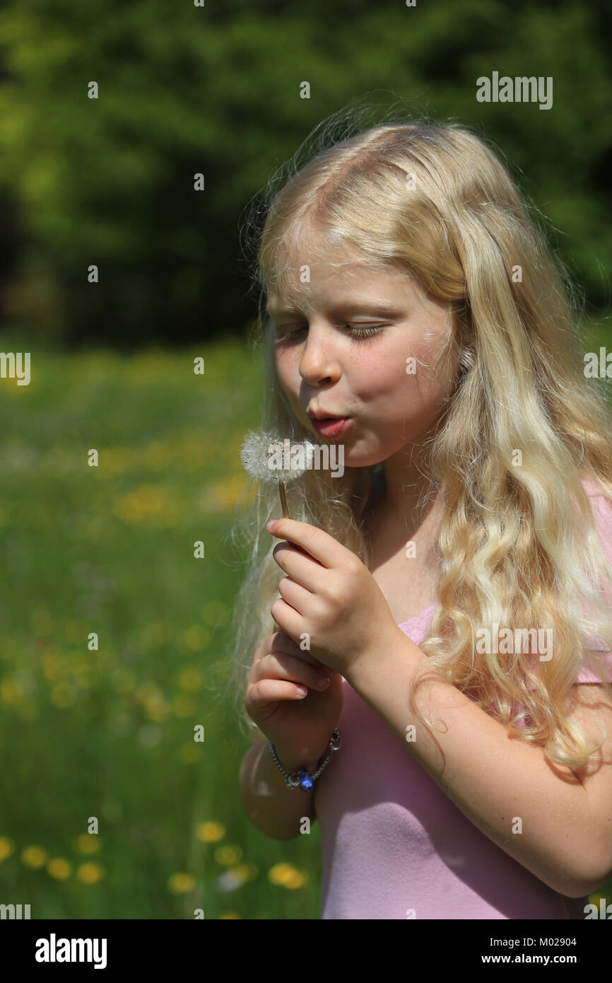 Une jeune blonde hair girl blowing off pétales fleur Banque D'Images