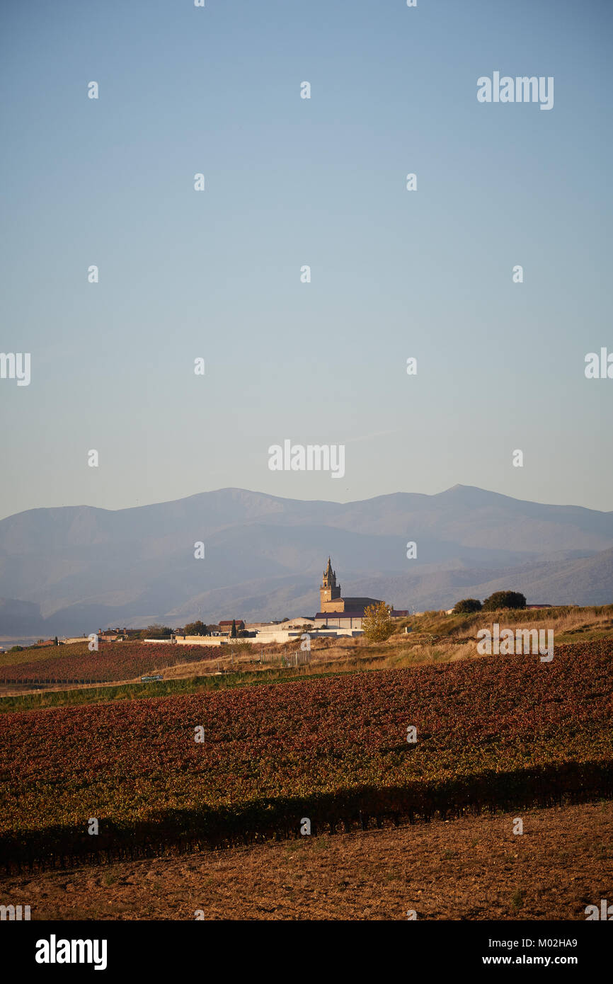 26/10/17 Zarratón, La Rioja, Espagne. Vignobles de la rioja avec des montagnes de la Sierra de la demanda en arrière-plan. Photo de James Sturcke | sturcke.org Banque D'Images