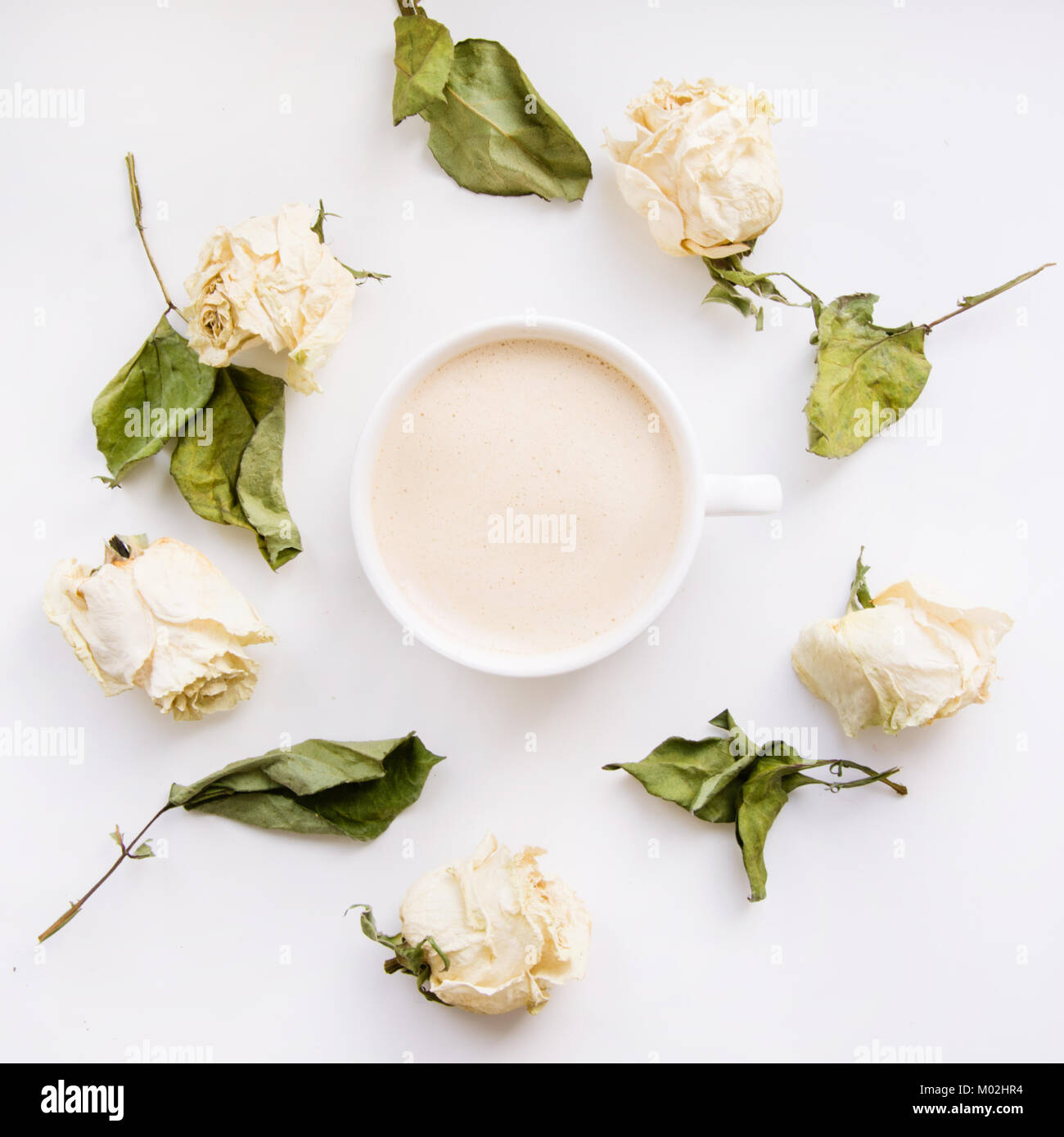 La vie encore d'une tasse de café ou de cappuccino avec roses blanc sec autour. Square. Vue d'en haut. Banque D'Images