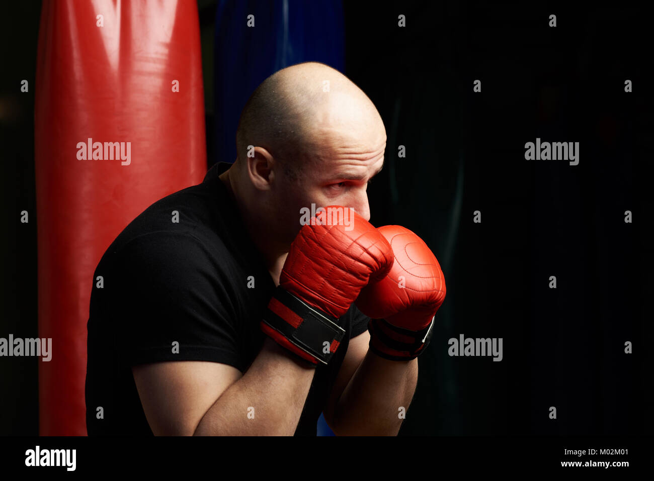 Portrait de profil de la boxe en défense de l'homme posent Banque D'Images