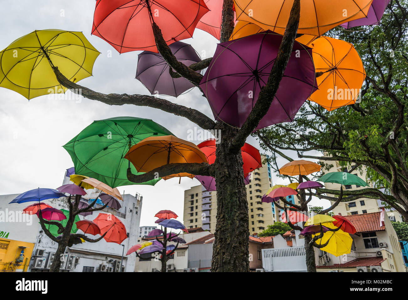 Dans les rues de Little India, à Singapour Banque D'Images