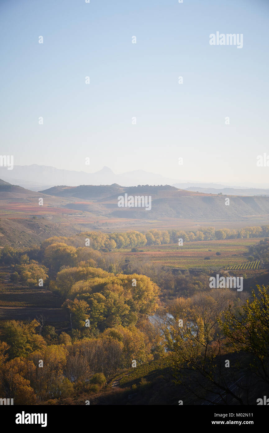 26/10/17 Rivière Ebro et les vignobles de La Rioja, près de San Asensio, La Rioja, Espagne. Photo de James Sturcke | sturcke.org Banque D'Images