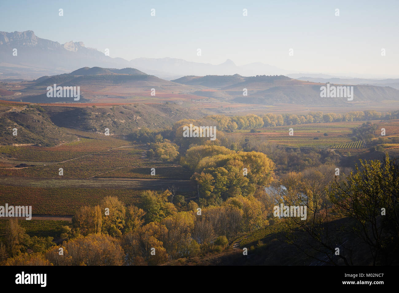 26/10/17 Rivière Ebro et les vignobles de La Rioja, près de San Asensio, La Rioja, Espagne. Photo de James Sturcke | sturcke.org Banque D'Images
