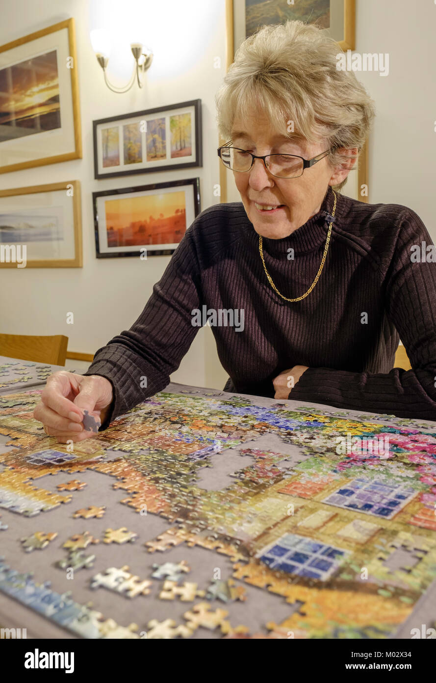 Dame Retraité Retraité FEMME/ FAIRE UN PUZZLE DENTEUX ENGLAND UK Banque D'Images