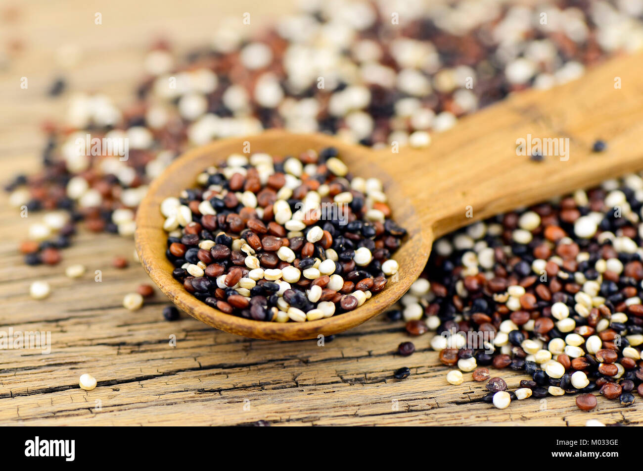 Le quinoa (Chenopodium quinoa mixte) des semences. Le quinoa cuit à la teneur en éléments nutritifs des fournitures semblable à celle du blé et du riz. Banque D'Images