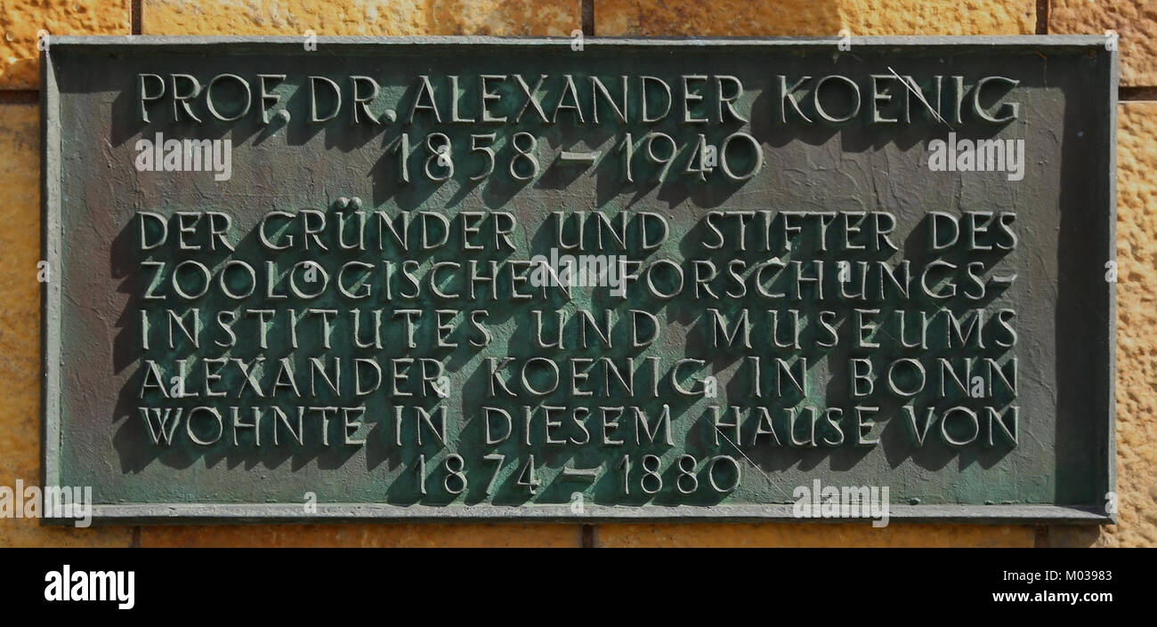 Burgsteinfurt Haus Lindemann Alexander Koenig 01 Banque D'Images