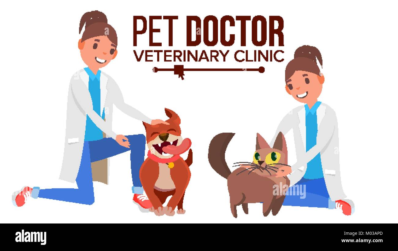 Vector femme vétérinaire. Chien et Cat. Clinique pour les animaux. Animal Médecin, Infirmière. Traitement pour les animaux domestiques, sauvages. Télévision Cartoon Illustratio isolés Illustration de Vecteur
