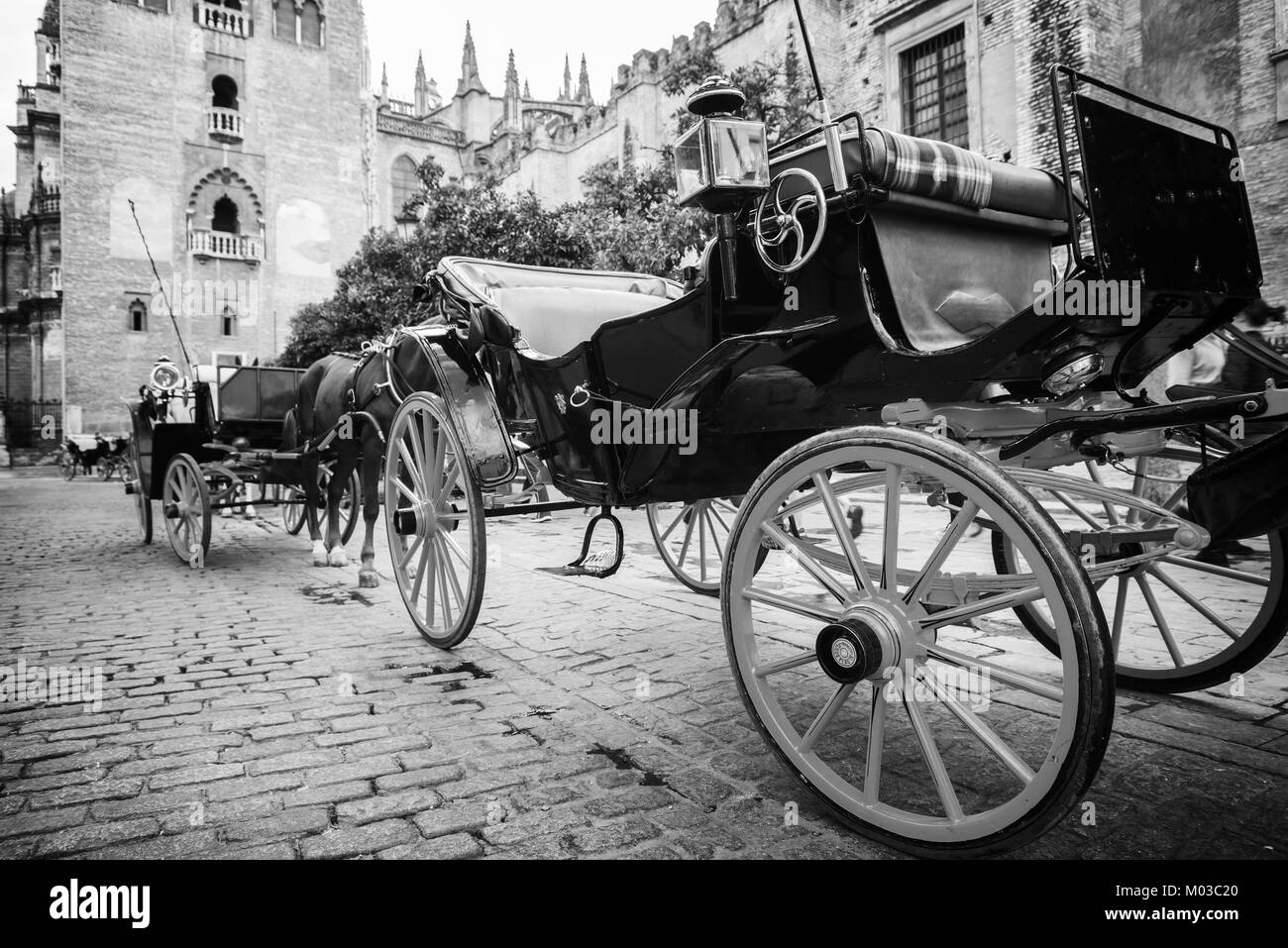 Transport de chevaux près de la Giralda à Séville, Andalousie, Espagne cathédrale Banque D'Images