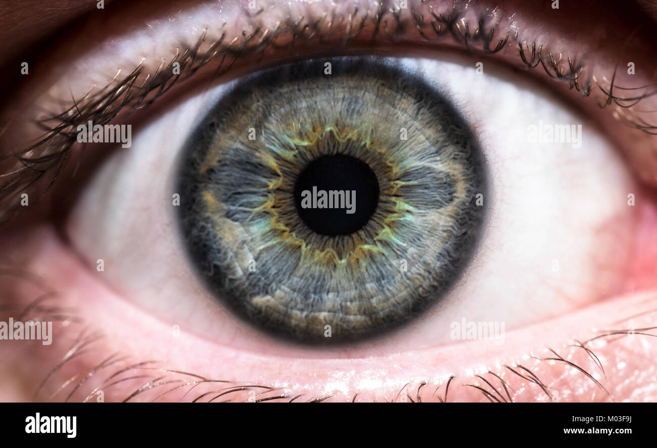 Oeil humain - macro Close-up Banque D'Images
