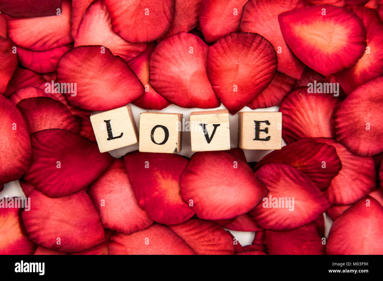Pétales de rose rouge fond avec l'amour romantique message Banque D'Images