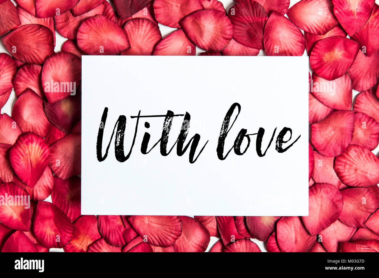 Pétales de rose rouge avec amour message. Arrière-plan de saint Valentin romantique Banque D'Images