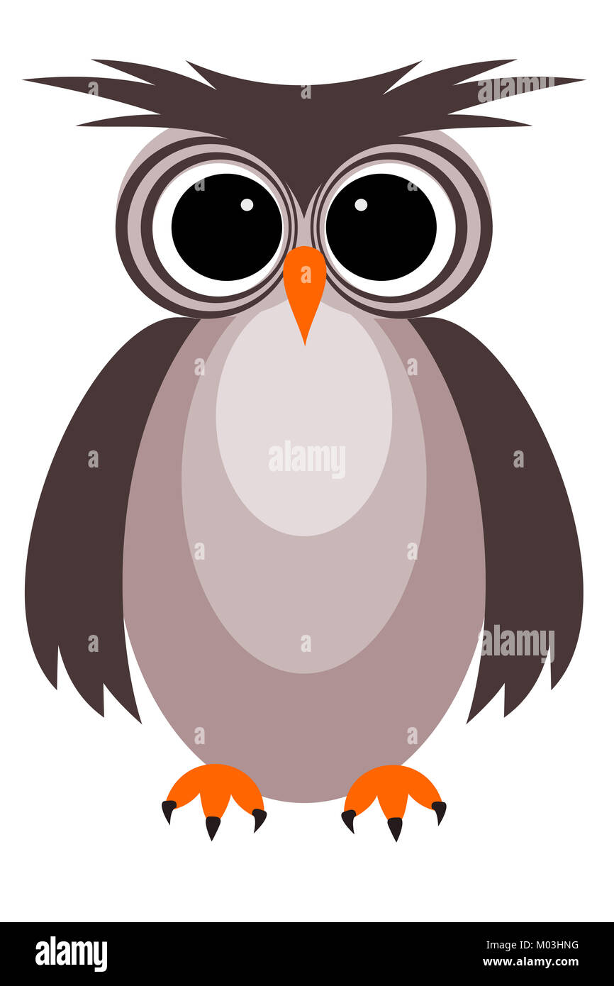 Petit hibou avec expression surprise sur fond blanc Banque D'Images