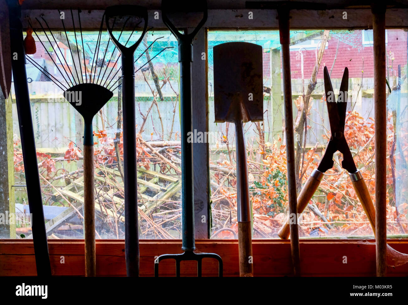 Outils de jardin de raccrocher dans un hangar, les outils sont sillouetted par la fenêtre et vue de l'abri de jardin derrière, bêche, fourche, cisailles, etc. Banque D'Images