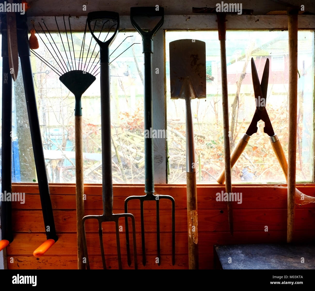 Outils de jardin de raccrocher dans un hangar, les outils sont sillouetted par la fenêtre et vue de l'abri de jardin derrière, bêche, fourche, cisailles, etc. Banque D'Images