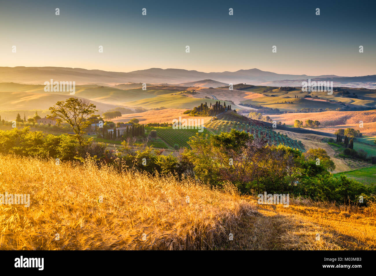 Le paysage pittoresque de la Toscane avec ses collines et champs de culture dans la lumière du matin d'or, Val d'Orcia, Italie Banque D'Images