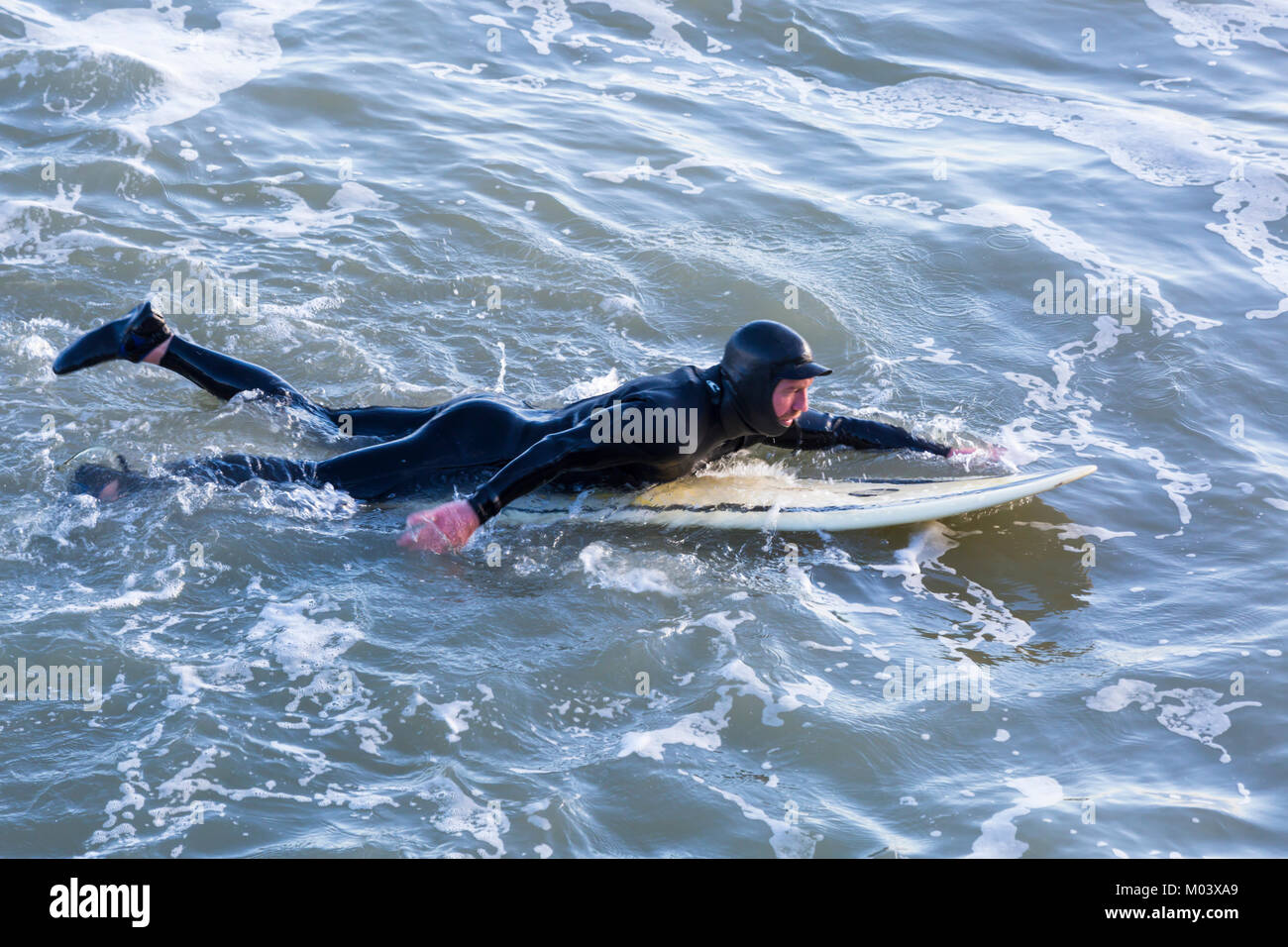 Surfer laying on board Banque de photographies et d'images à haute  résolution - Alamy