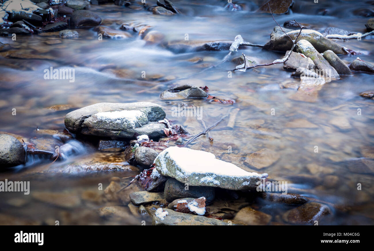 Forest stream en hiver quelque part dans le sud de la Pologne. Banque D'Images