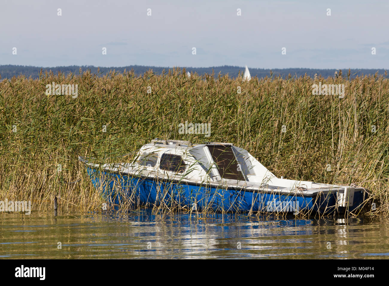 Un bateau dans les joncs - District du Lac de Mazurie, Pologne Banque D'Images
