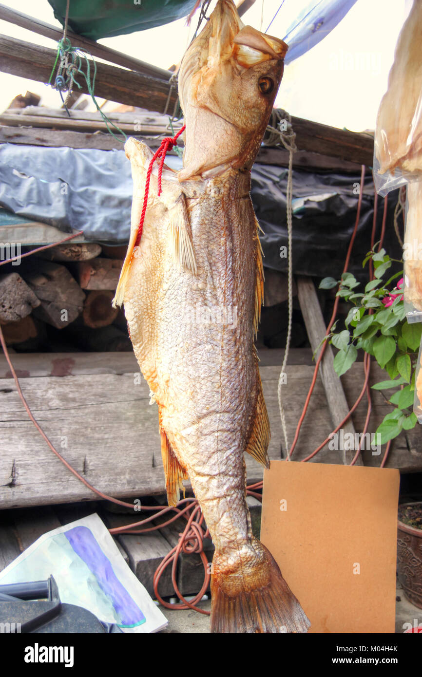 Un poisson salé est suspendu à sécher au soleil à Tai O, un village de pêcheurs dans l'île de Lantau à Hong Kong. Spécialités de fruits de mer séchés sont populaires cuisine Chinoise Banque D'Images