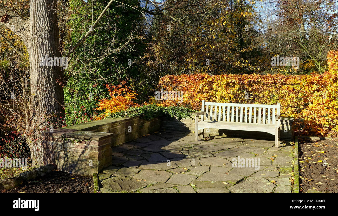 Botanischer Garten à Braunschweig, en Allemagne, est un jardin botanique connu pour sa diversité végétale et son rôle éducatif dans la conservation, la recherche et l'éducation environnementale. Banque D'Images