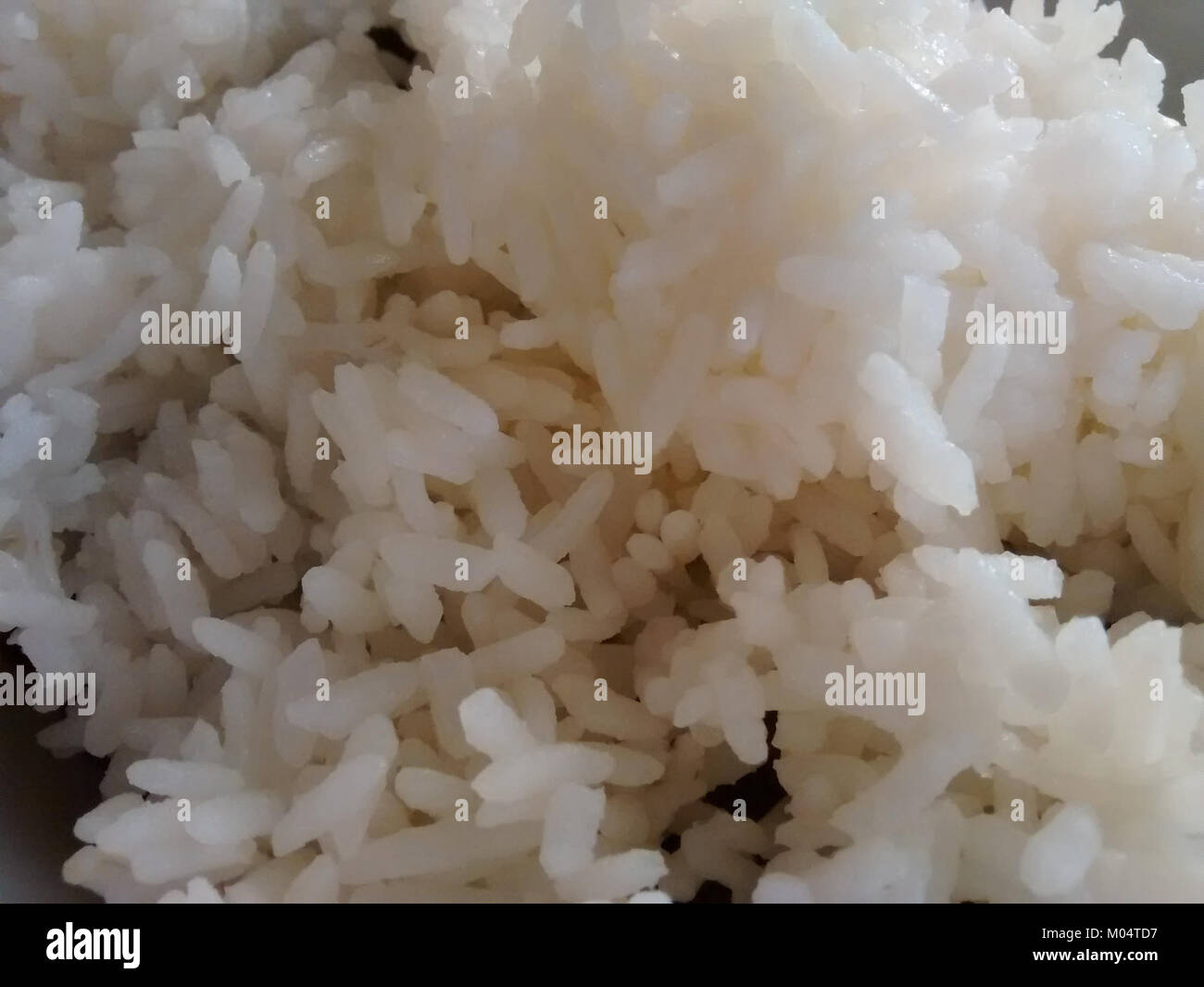 Le riz Botan Calrose, connu pour son grain moyen et sa texture collante, est une variété couramment utilisée dans la cuisine japonaise et coréenne. Il est prisé pour sa capacité à absorber les saveurs et est souvent utilisé dans les bols à sushi et à riz. Banque D'Images Le riz Botan Calrose, connu pour son grain moyen et sa texture collante, est une variété couramment utilisée dans la cuisine japonaise et coréenne. Il est prisé pour sa capacité à absorber les saveurs et est souvent utilisé dans les bols à sushi et à riz. Banque D'Images