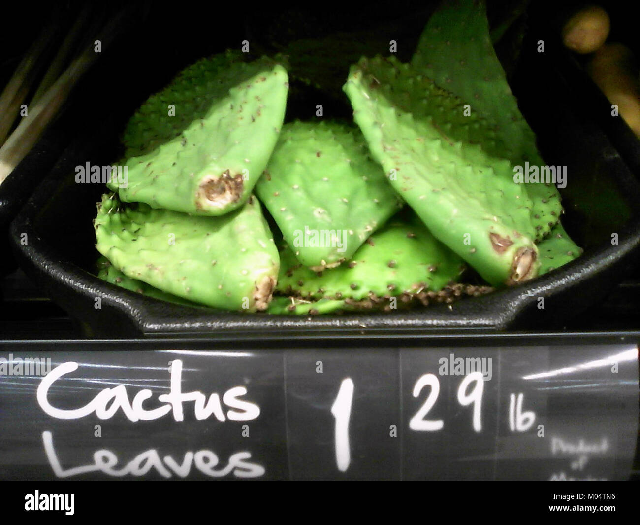 Les feuilles de cactus de cette image mettent en valeur la forme et la texture distinctives du feuillage de la plante. Les cactus sont connus pour leur capacité à survivre dans les environnements arides en raison de leurs feuilles et épines épaisses et qui retiennent l'eau. Banque D'Images