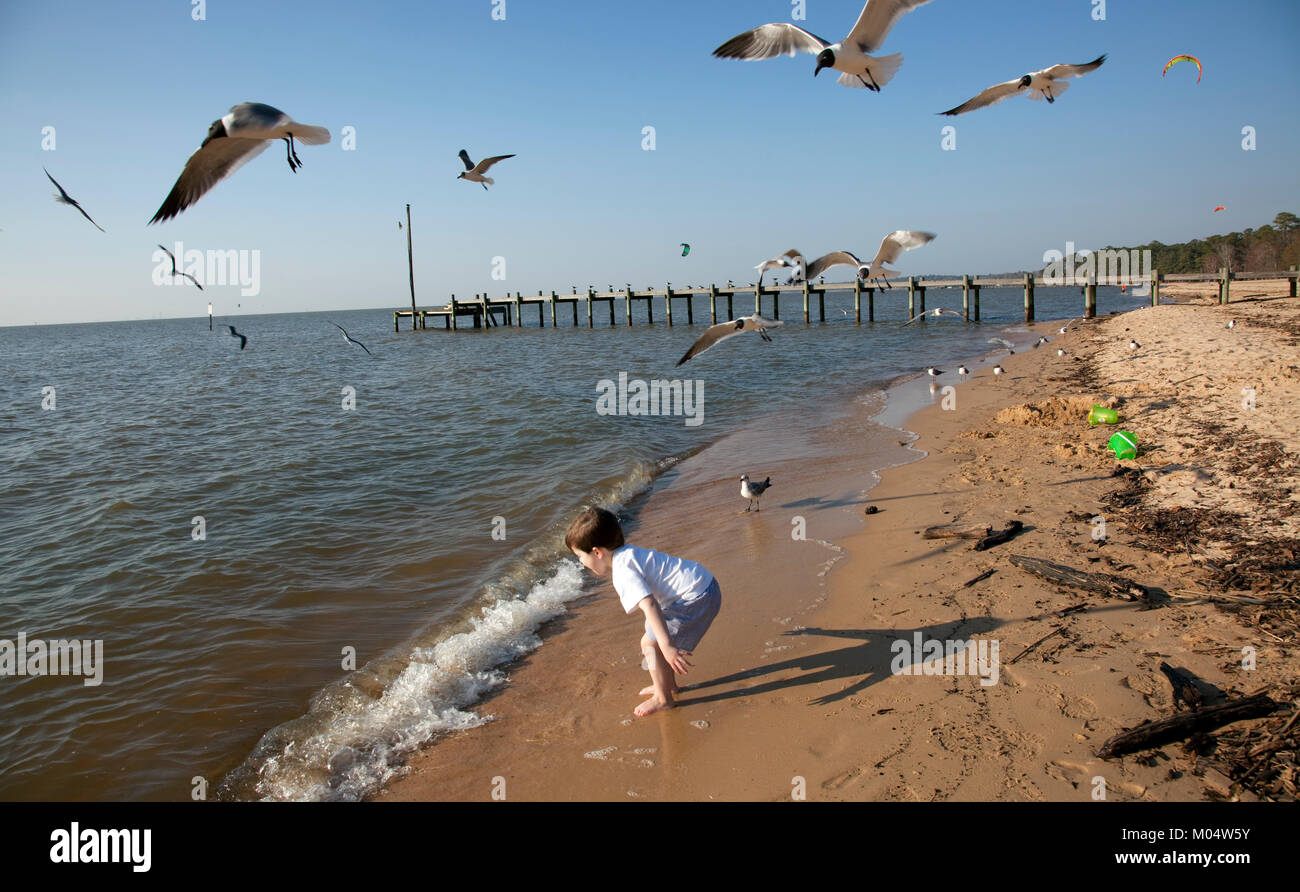 Jouant avec les oiseaux à une plage sur la baie de Mobile Banque D'Images