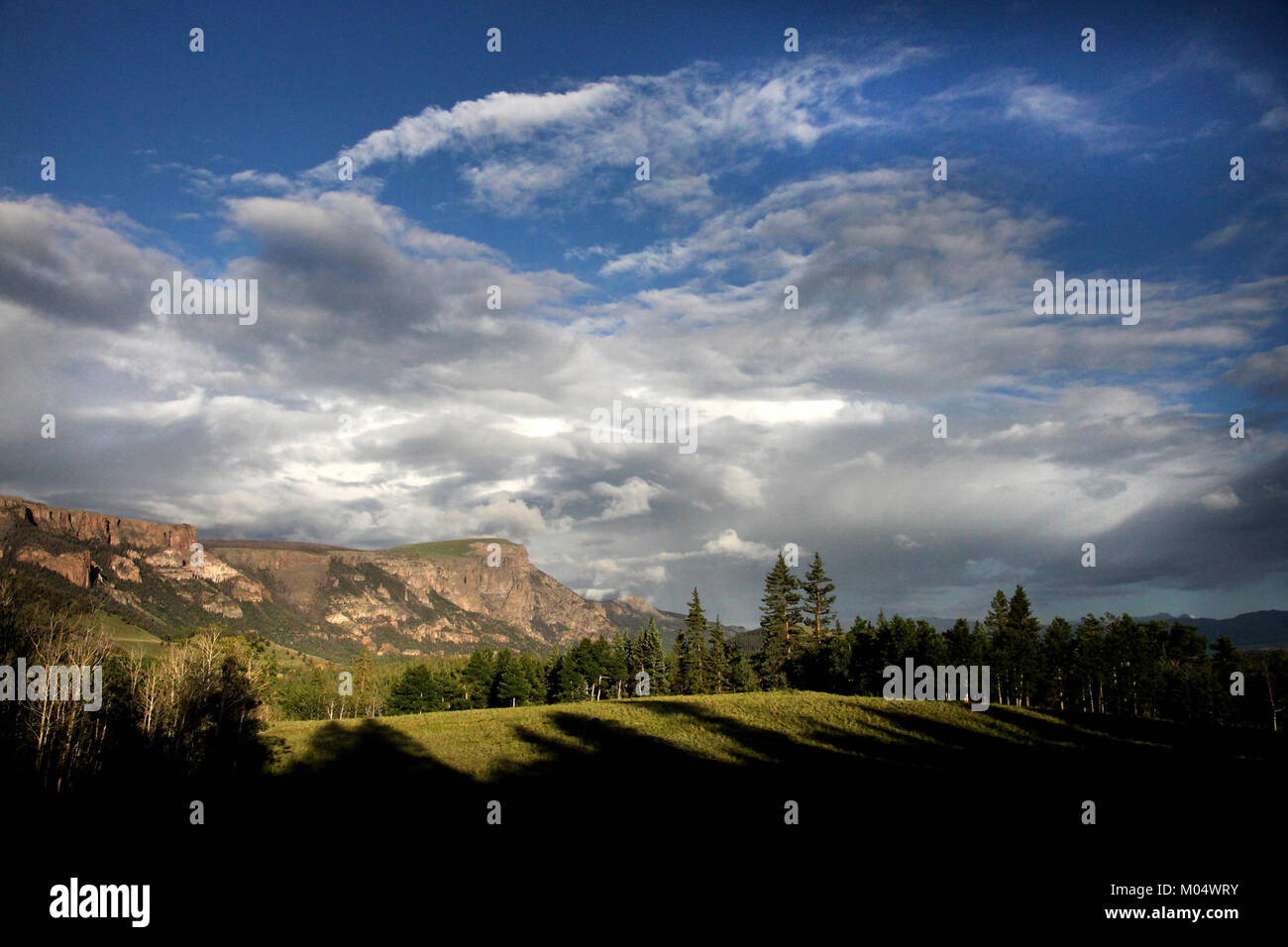 Cette image capture un camping situé près de Bristol Head, Colorado, à une altitude de 9600 pieds. C'est un endroit populaire pour les campeurs et les amateurs de plein air, offrant une vue imprenable sur la montagne et un environnement isolé. Banque D'Images