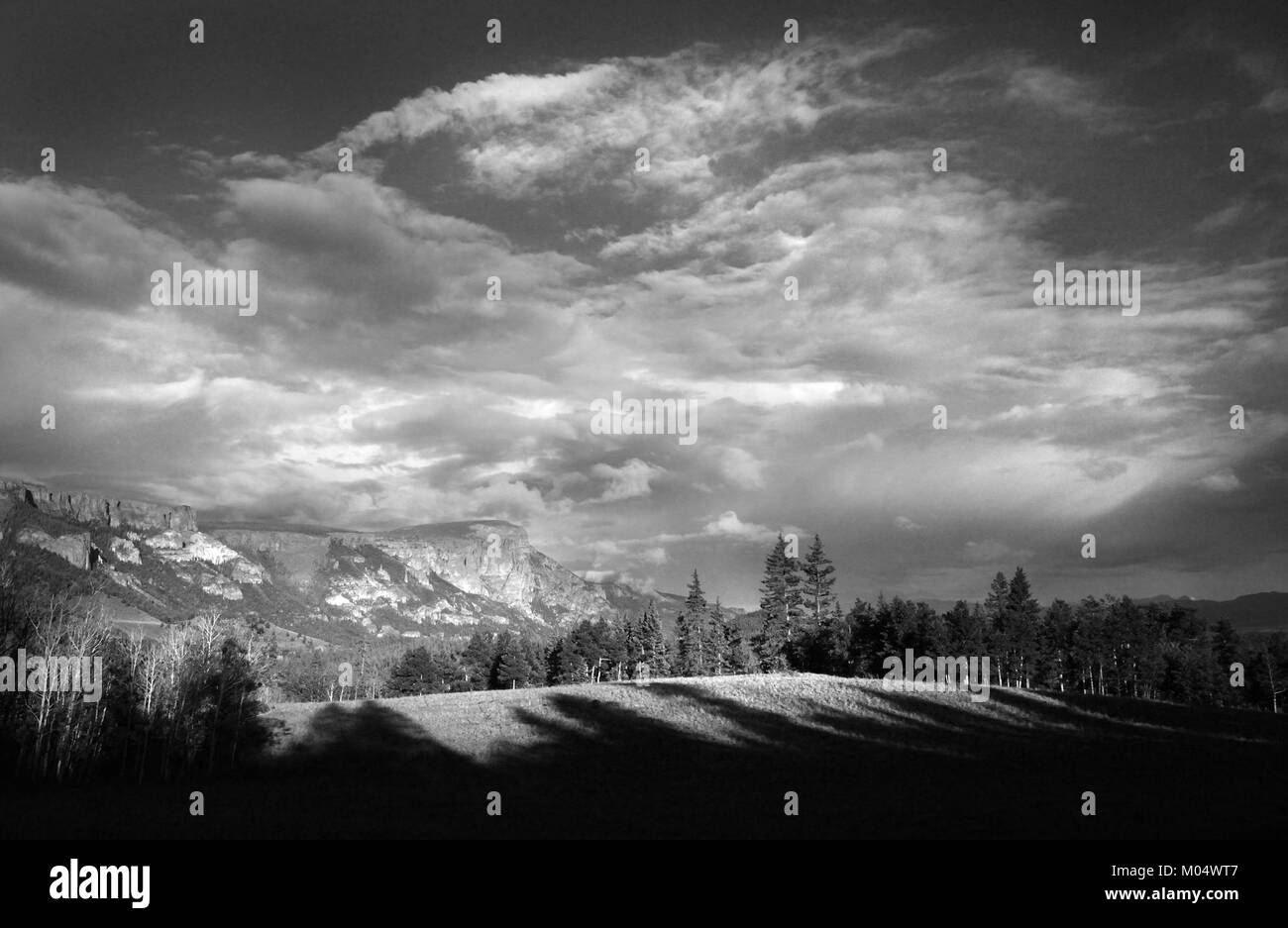 Cette image capture un camping près de Bristol Head dans le comté de Mineral, Colorado, à une altitude de 9600 pieds, mettant en valeur la beauté naturelle et le terrain de la région. Banque D'Images