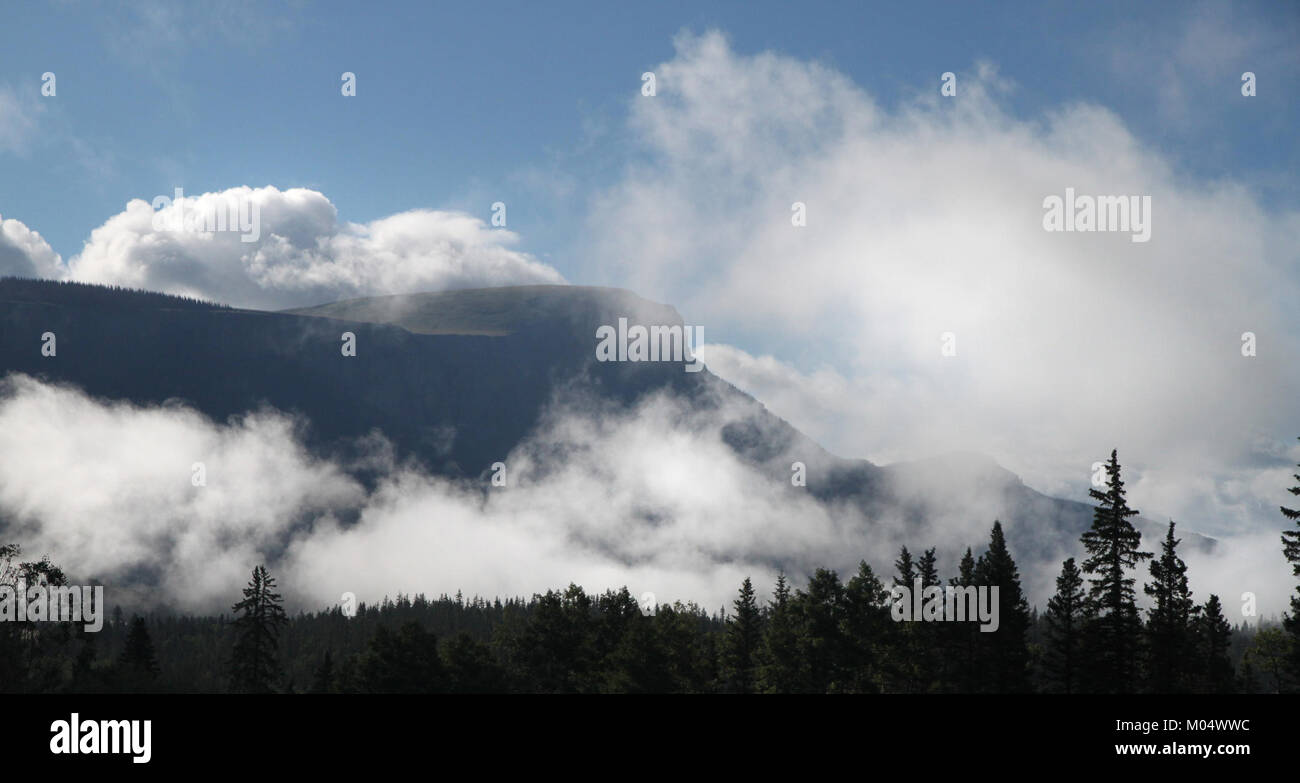 Une photographie capturant un camping à 9600 mètres d'altitude près de Bristol Head dans le comté de Mineral, Colorado, offrant un aperçu des possibilités de loisirs en plein air dans la région. Banque D'Images