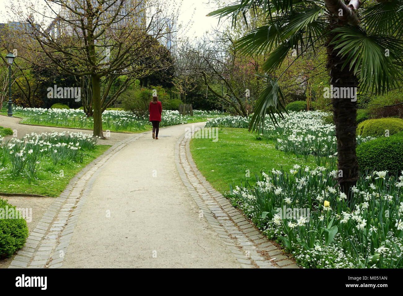 Photographie DSC06818 capture un coin serein du jardin botanique de Bruxelles, en Belgique, mettant en valeur la collection variée de plantes du jardin et l'atmosphère tranquille. Banque D'Images