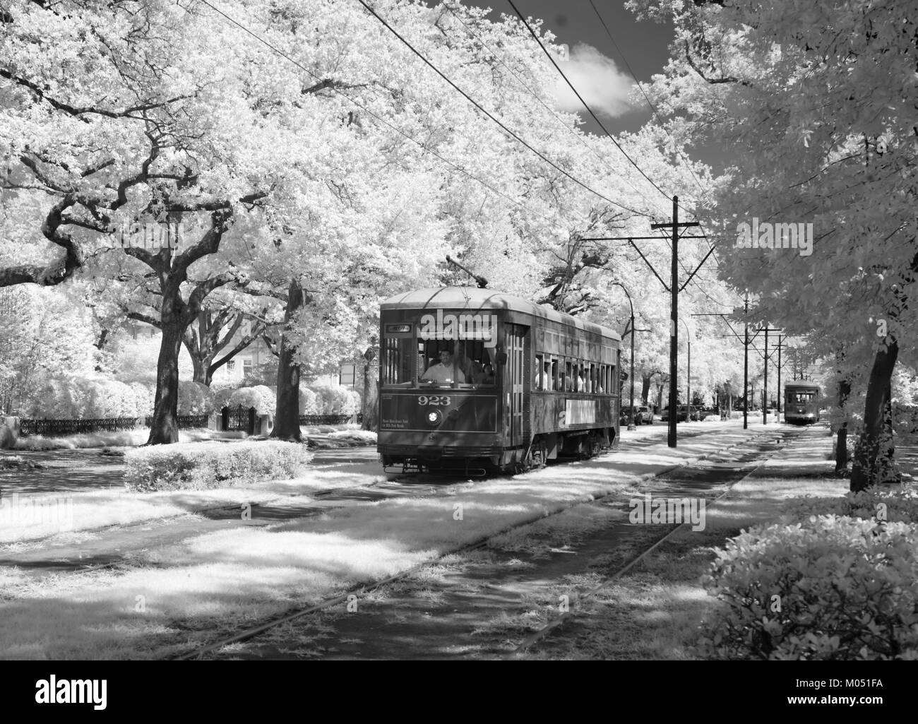 Le tramway, Charles Avenue, New Orleans, Louisiane Banque D'Images