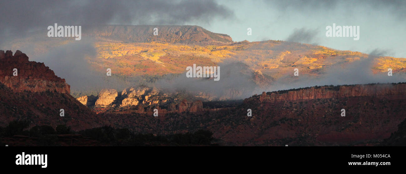 Une photographie prise à Boulder Mountain, Utah, capture les couleurs d'automne vibrantes du paysage de Circle Cliffs à la fin septembre 2016, mettant en valeur la beauté naturelle de la nature sauvage de l'Utah. Banque D'Images