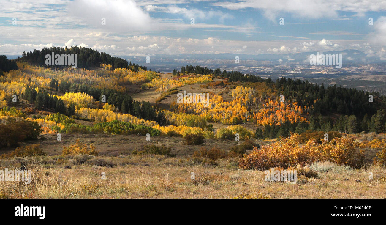 Une photographie panoramique de Boulder Mountain dans le comté de Garfield, Utah, capturant les couleurs éclatantes de l'automne le 30 septembre 2016. L'image met en valeur les riches teintes de l'automne dans le terrain montagneux du sud de l'Utah. Banque D'Images