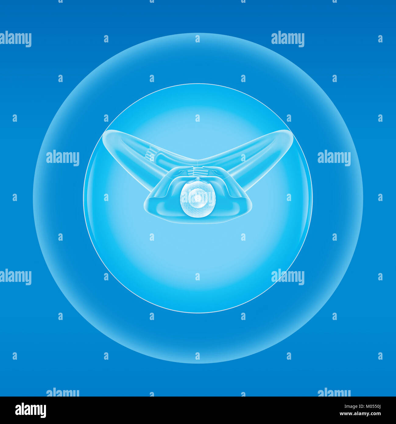 La vue de dessus d'une statue de Bouddha met en valeur son expression sereine et méditative, symbolisant la paix et l'illumination. Cette perspective souligne les qualités spirituelles et artistiques de la statue. Banque D'Images