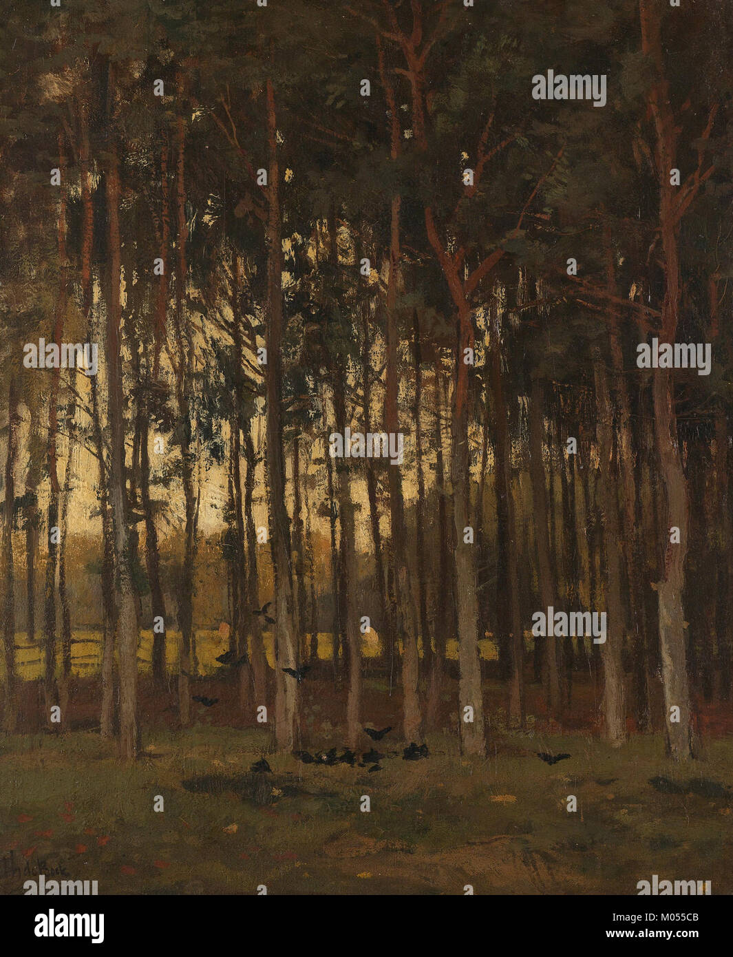 Bosgezicht, situé dans la collection du Rijksmuseum, est une peinture qui représente un paysage forestier. L'œuvre fait partie de l'importante collection d'art hollandais du musée, mettant en valeur la nature de la Hollande du XVIIe siècle. Banque D'Images