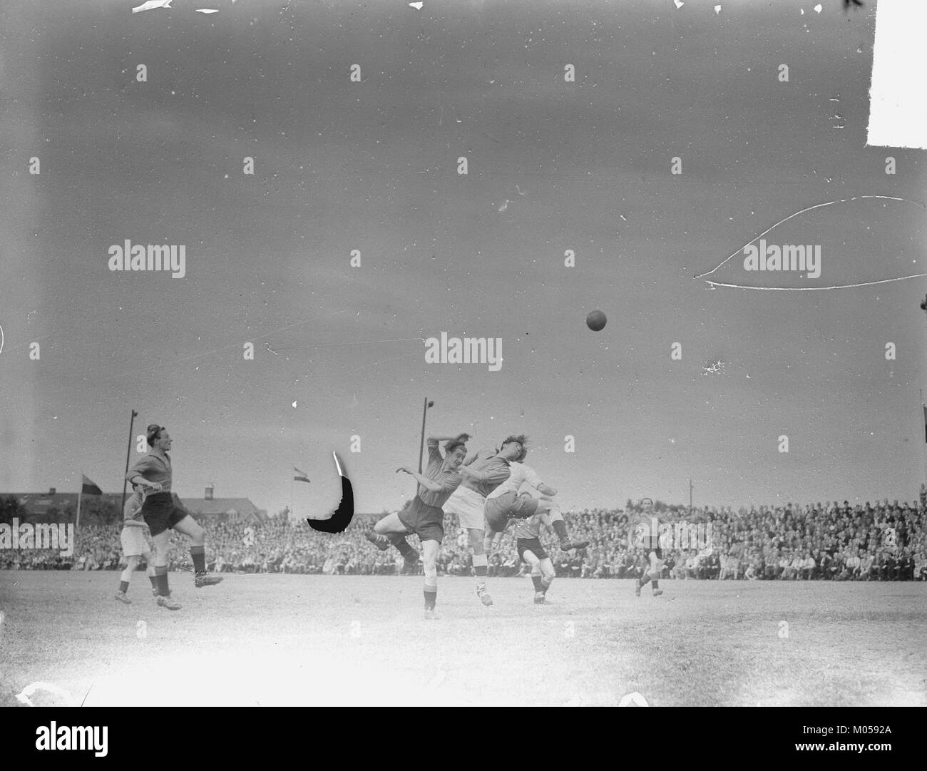 BVV-AGOVV 0-0 fait référence à un match de football entre le BVV et l'AGOVV, ce qui donne lieu à un match nul de 0-0. Le match souligne la nature compétitive du football néerlandais, reflétant la culture populaire de sportâ€™ aux pays-Bas. Banque D'Images