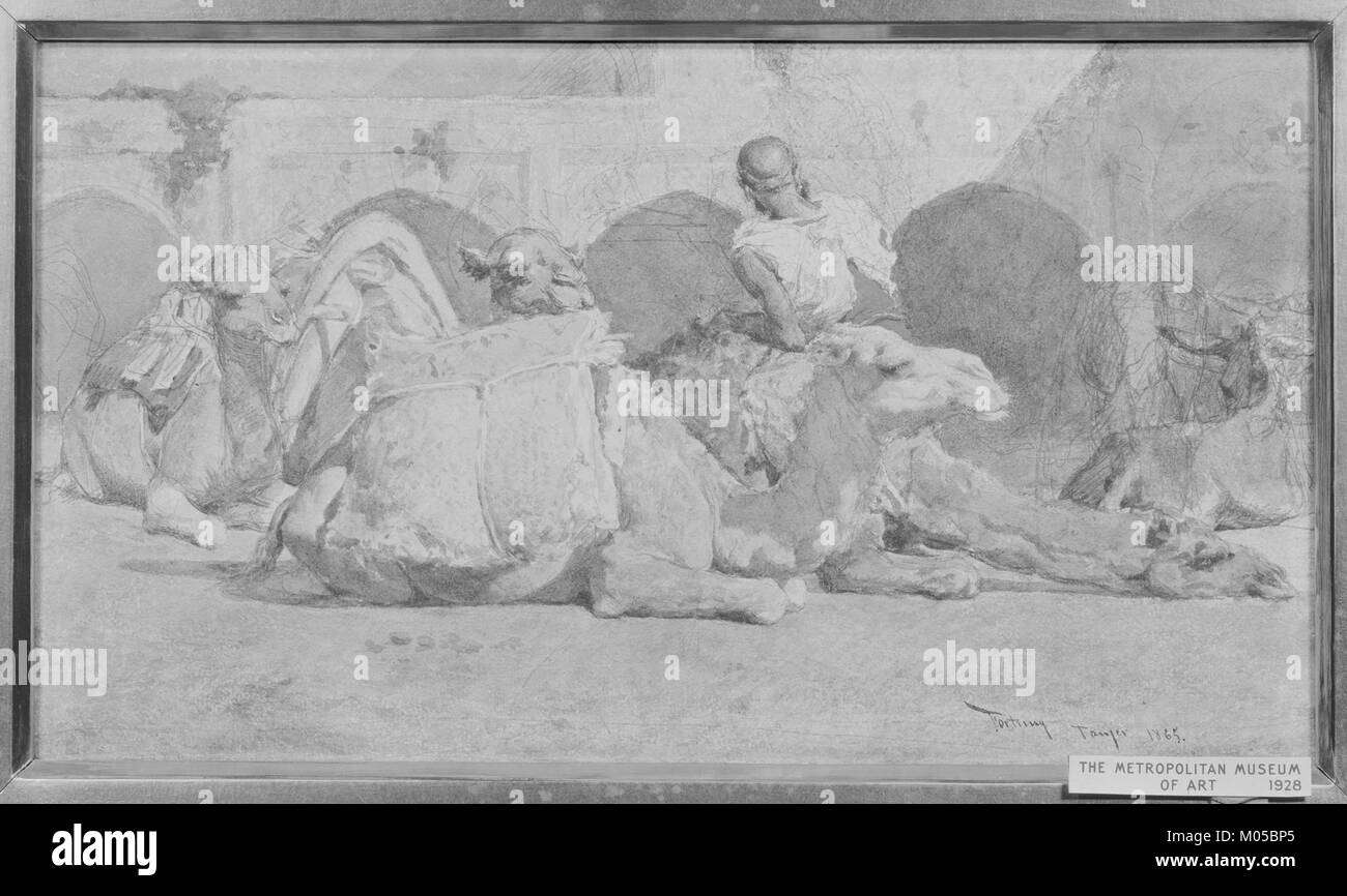 L'œuvre d'art 'Camels Reposing' représente des chameaux reposant dans la ville marocaine de Tanger. La pièce capture les moments tranquilles de ces animaux au milieu du cadre culturel dynamique de la région. Banque D'Images