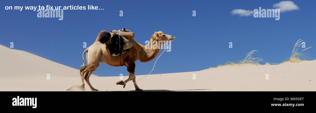 L'en-tête de page Camel est un design emblématique associé à la marque de cigarettes Camel, connue pour ses images audacieuses et distinctives. L'en-tête de page comporte souvent un chameau, le symbole de la marque, et a été utilisé dans des campagnes publicitaires pour renforcer l'identité de la marque et attirer l'attention dans les médias imprimés. Banque D'Images